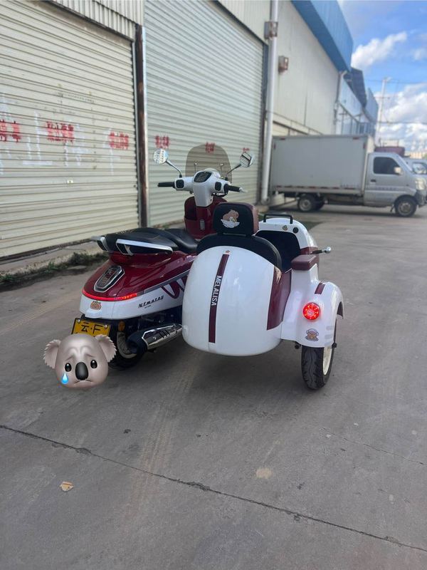 二手南方梦拉丽莎 飞戈边三轮