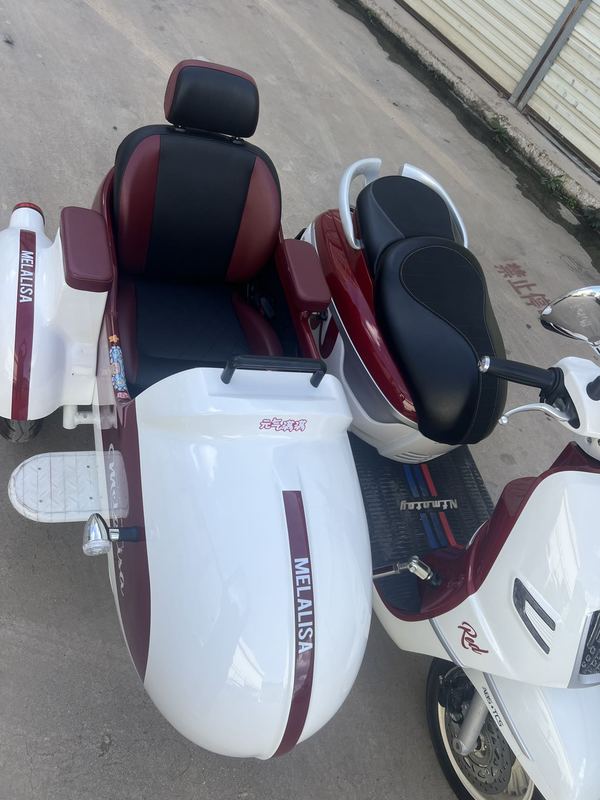 二手南方梦拉丽莎 飞戈边三轮