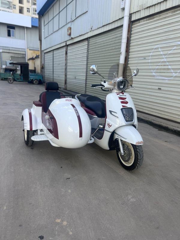 二手南方梦拉丽莎 飞戈边三轮