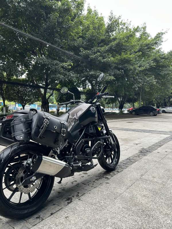 二手贝纳利幼狮 Leoncino 250
