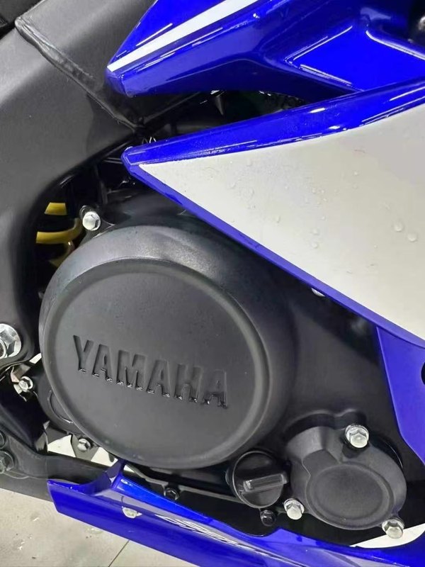 二手雅马哈YZF-R15