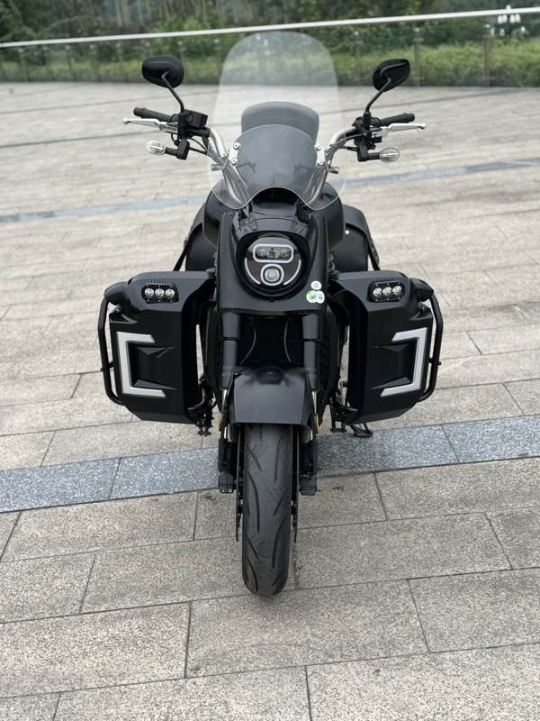 二手摩枭650LS