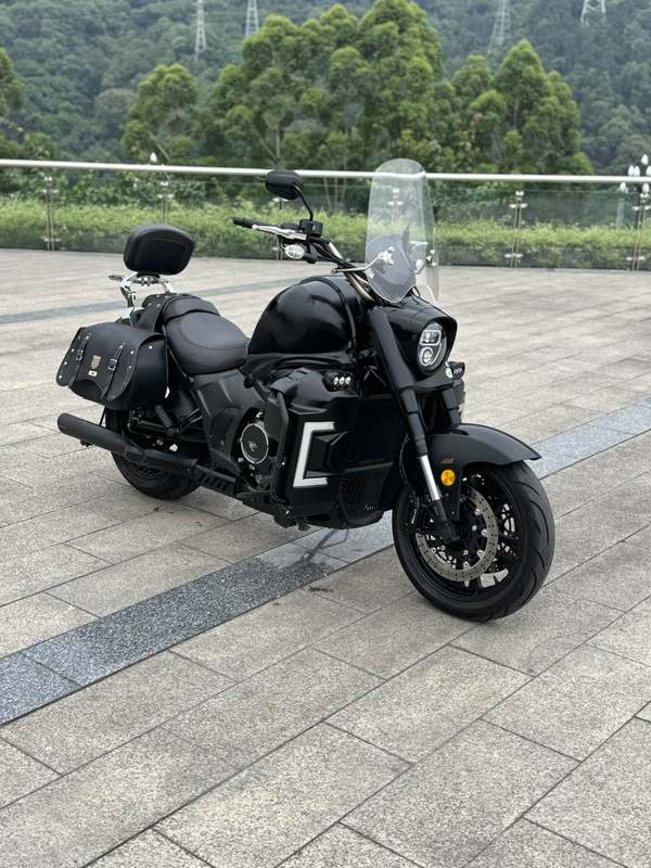二手摩枭650LS