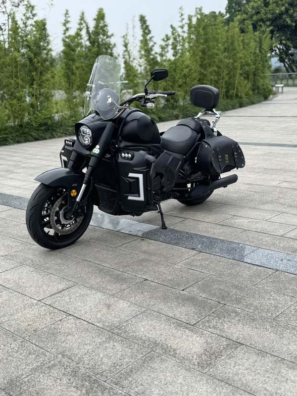 二手摩枭650LS