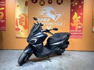 二手三阳行者 Joyride300