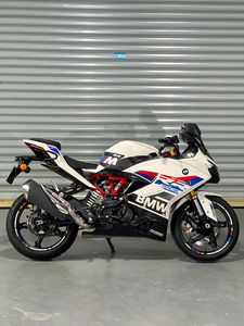 二手宝马G 310 RR