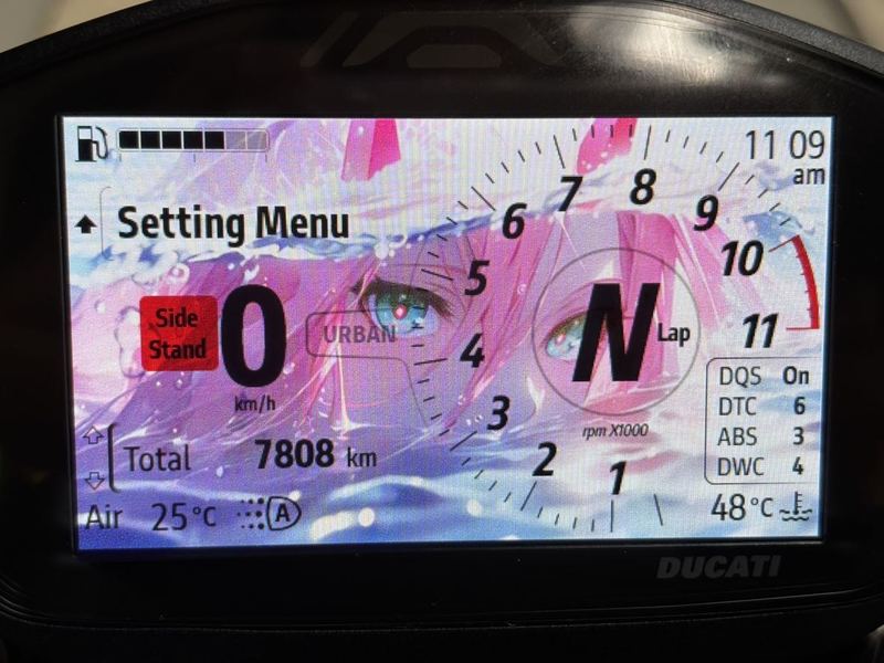 二手杜卡迪Monster 950
