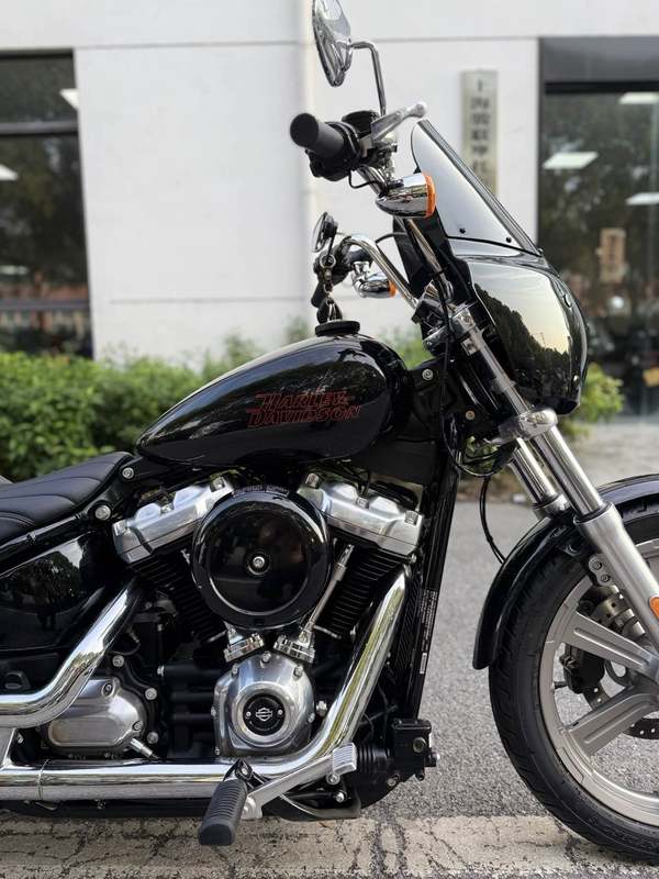 二手哈雷戴维森Softail Standard