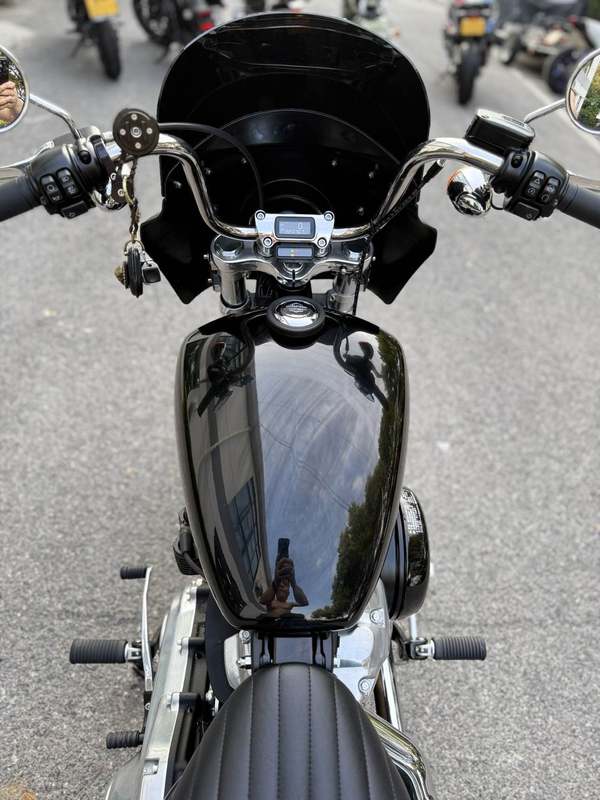 二手哈雷戴维森Softail Standard