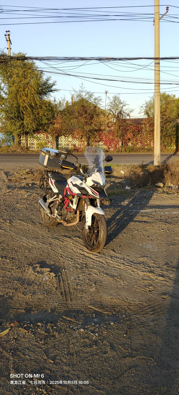 二手贝纳利金鹏 TRK251