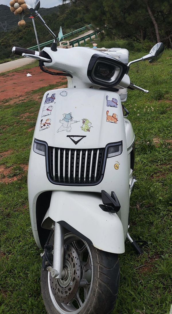 二手南方梦拉丽莎 Melalisa150