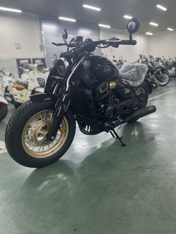 二手赛科龙RA600