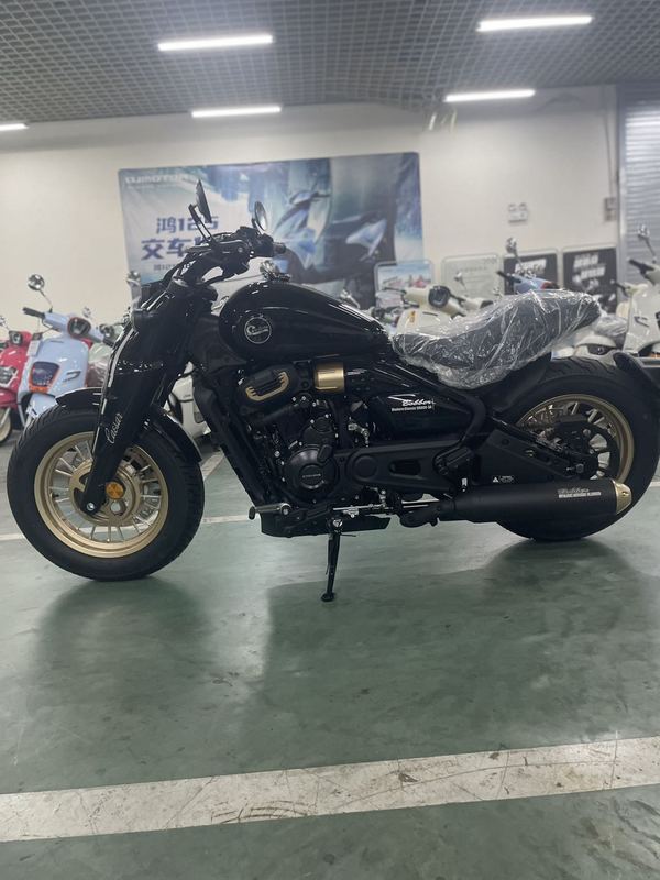 二手赛科龙RA600