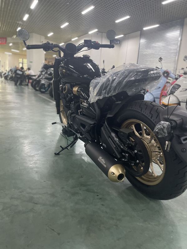 二手赛科龙RA600