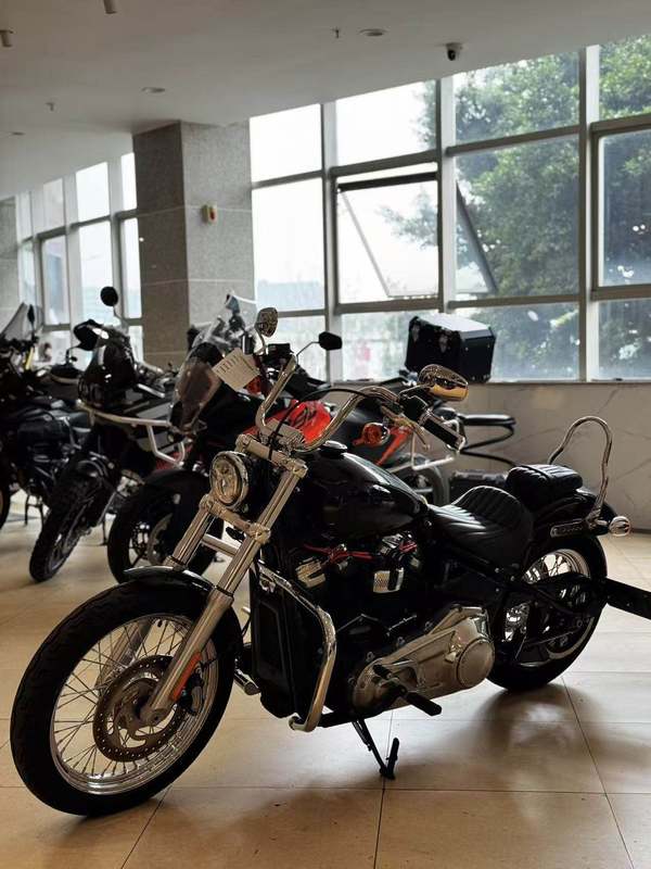 二手哈雷戴维森Softail Standard