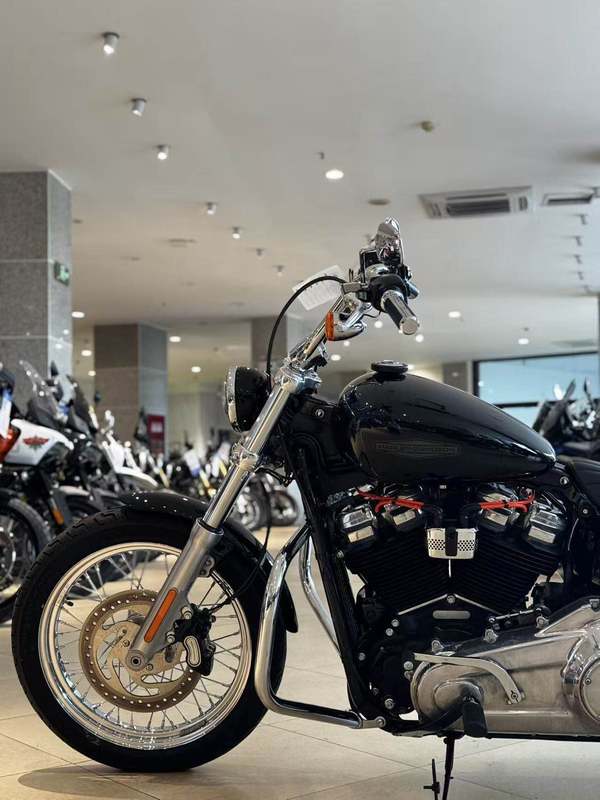 二手哈雷戴维森Softail Standard