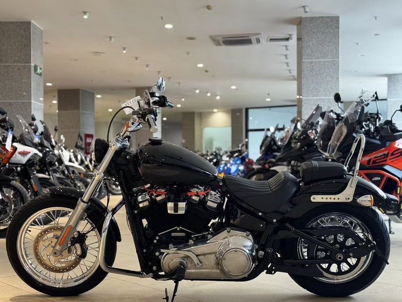 二手哈雷戴维森Softail Standard