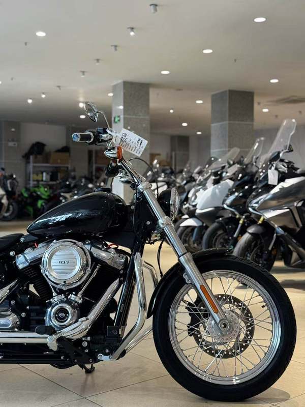 二手哈雷戴维森Softail Standard