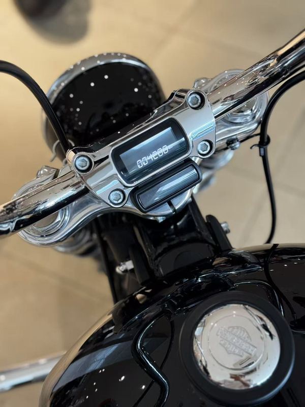 二手哈雷戴维森Softail Standard
