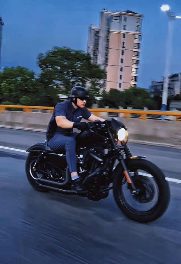 二手哈雷戴维森Iron883 硬汉