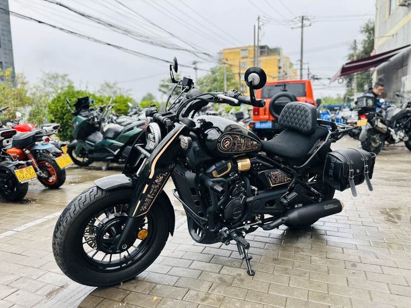 二手赛科龙RA600