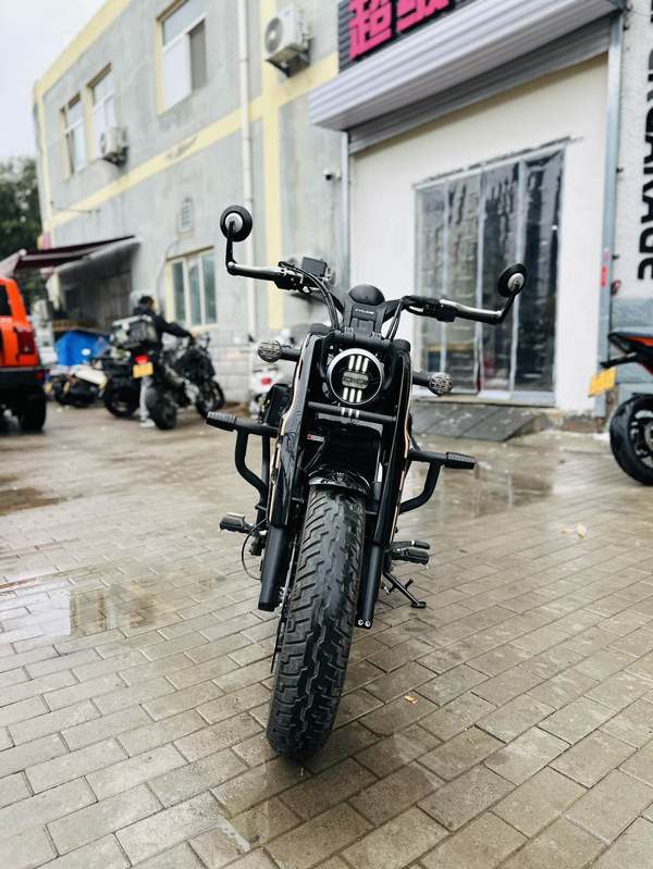 二手赛科龙RA600