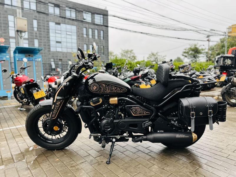 二手赛科龙RA600