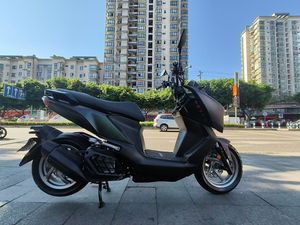 二手三阳曼巴 MMBCU