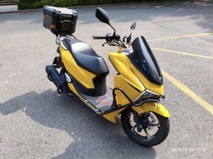 二手猎变闪电狗150