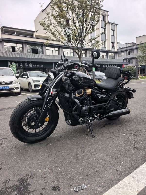 二手赛科龙RA600