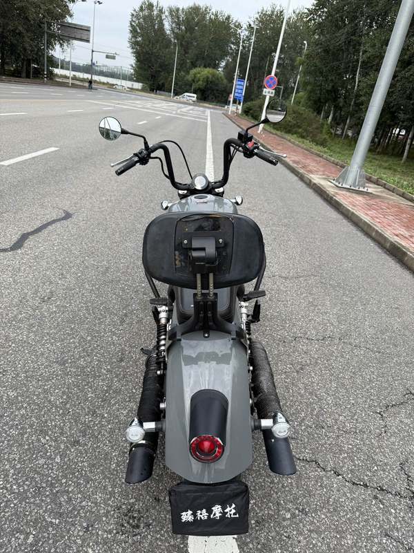 二手摩瑞小太子650