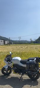 二手春风XO狒狒