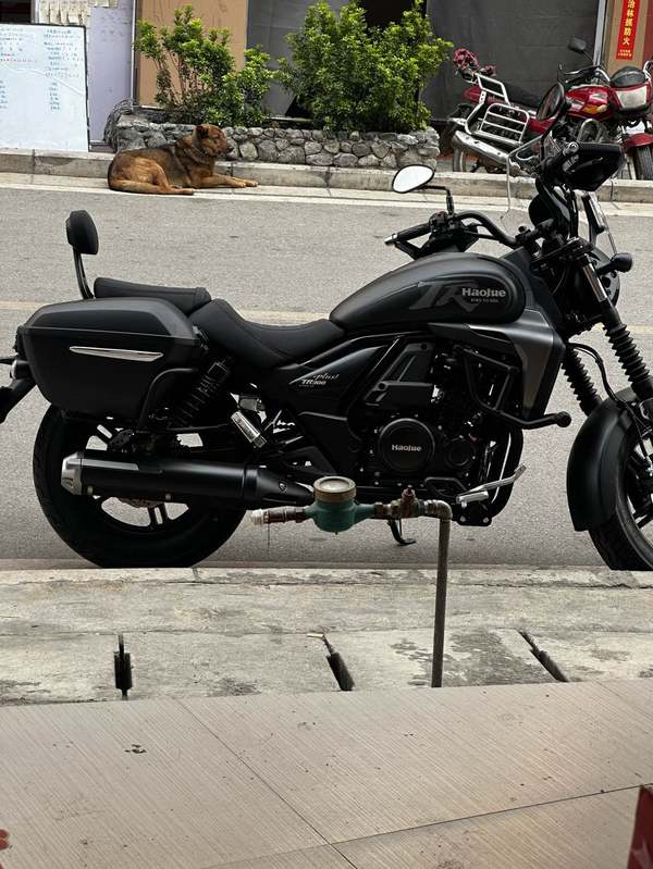 二手豪爵TR300