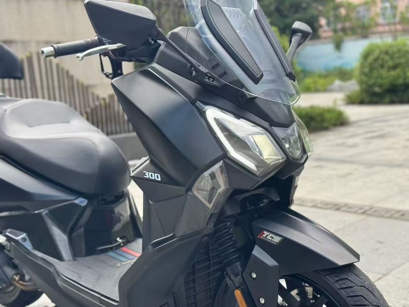 二手三阳Joymax F 300