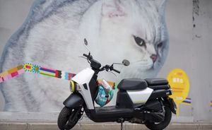 二手三阳小蚂蚁 4MICA