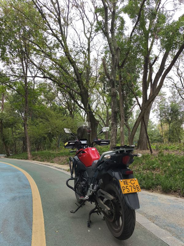 二手豪爵铃木DL250