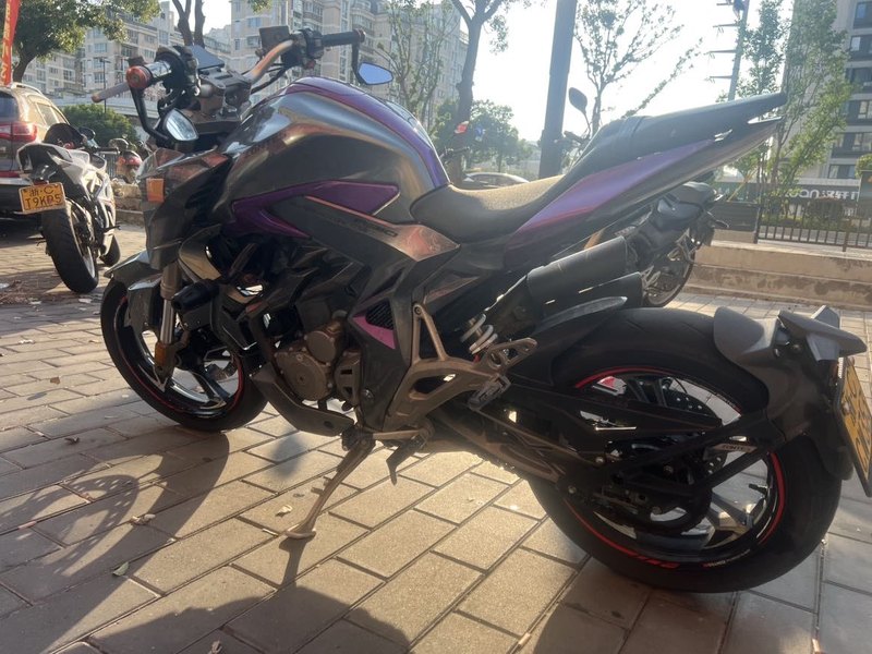 二手升仕310R