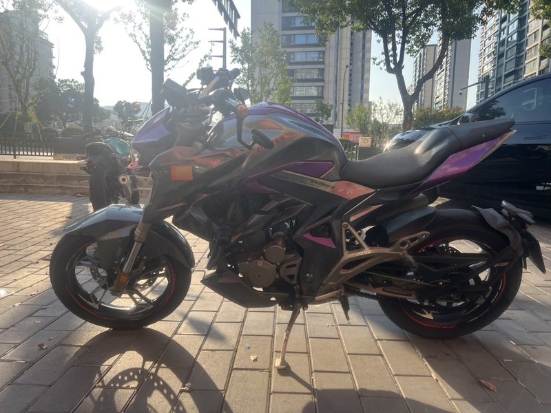 二手升仕310R