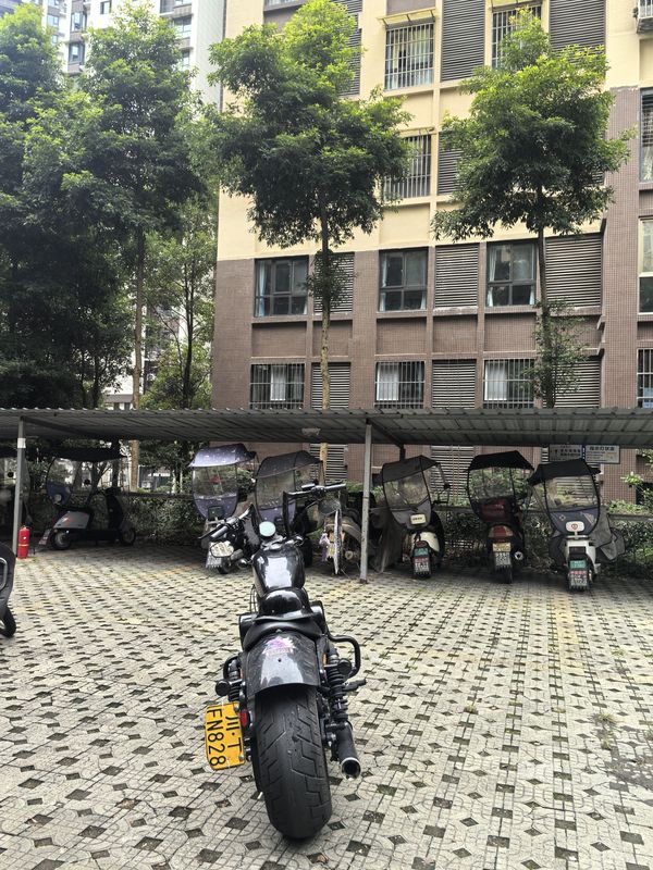 二手香帅硬汉 宽胎