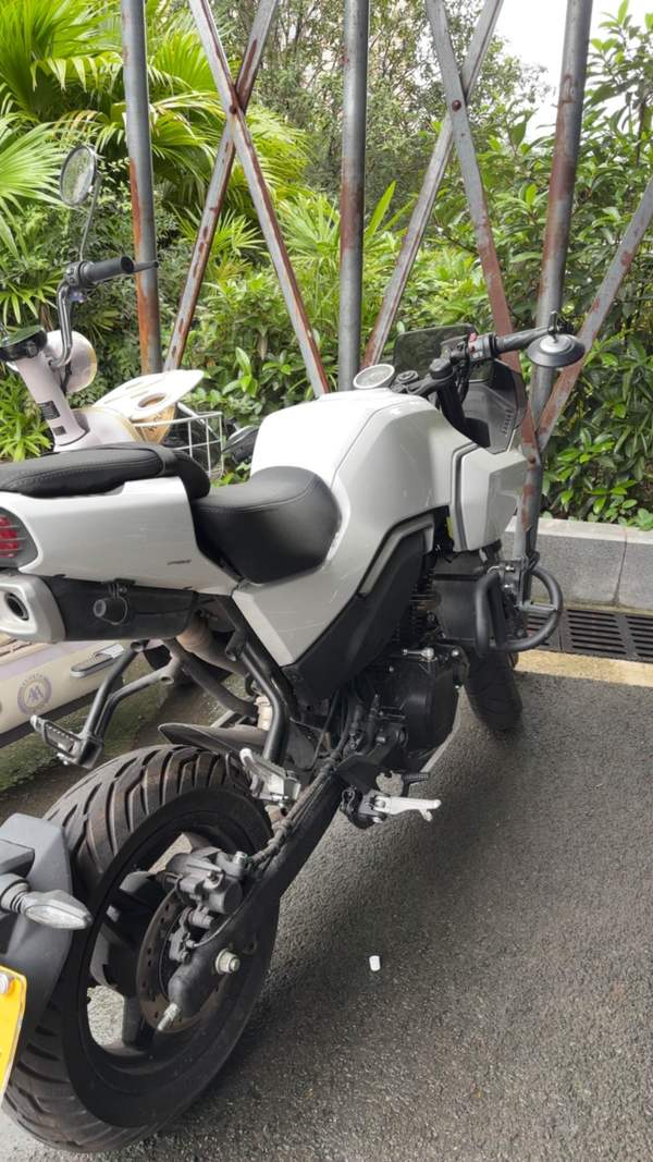 二手春风XO狒狒