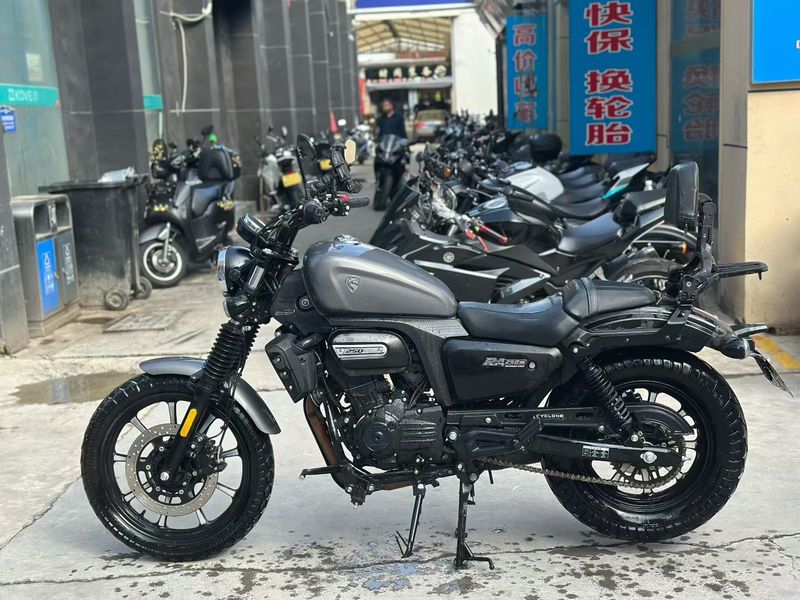 二手赛科龙RA250