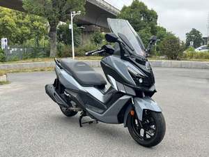 二手三阳巡弋 Cruisym300