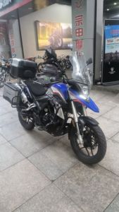 二手赛科龙RX1S