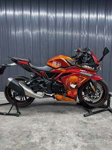 二手无极300RR