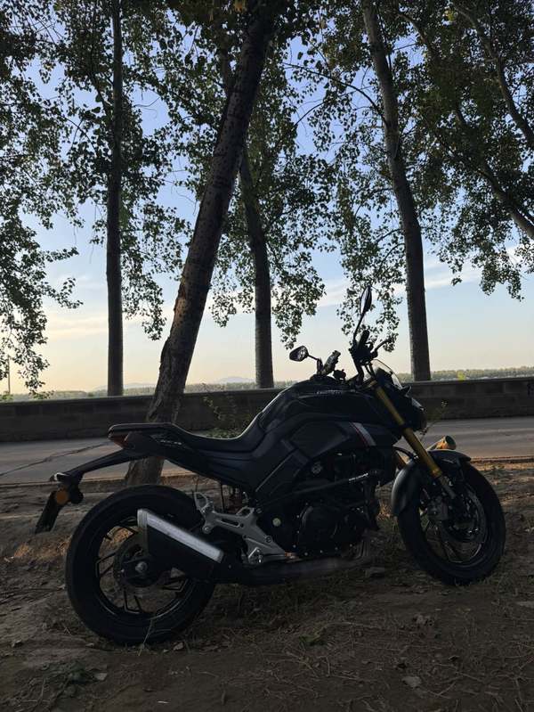 二手豪爵XCR300