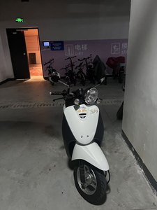 二手新大洲本田自由 Today