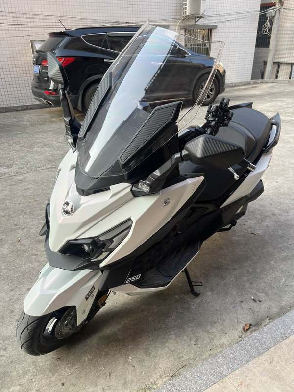 二手三阳巡弋 Cruisym250