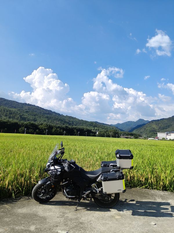 二手本田CB400X