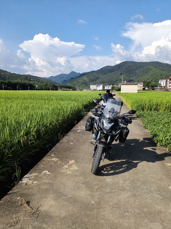 二手本田CB400X