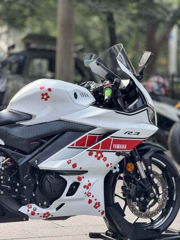 二手雅马哈YZF-R3